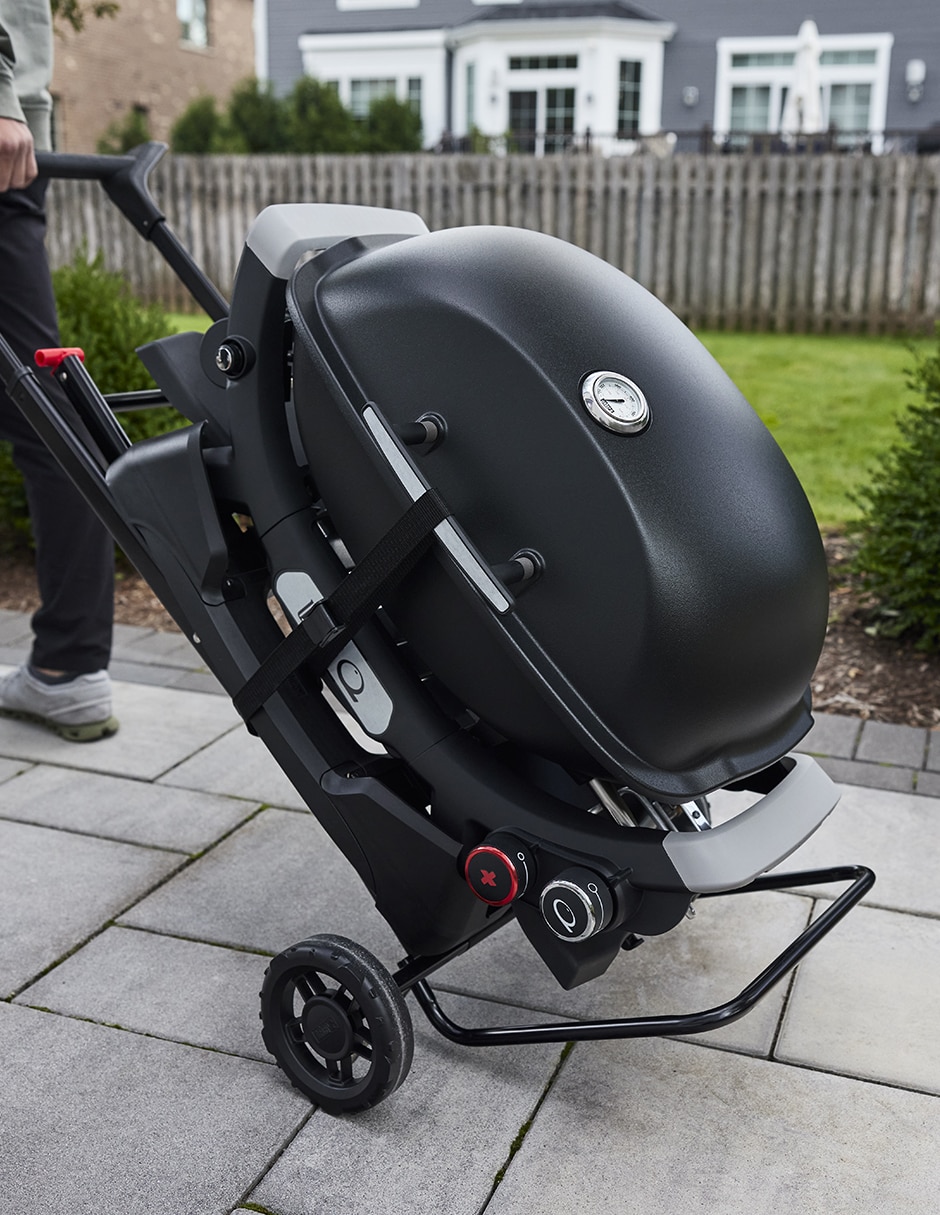 Carrito base para asador 4
