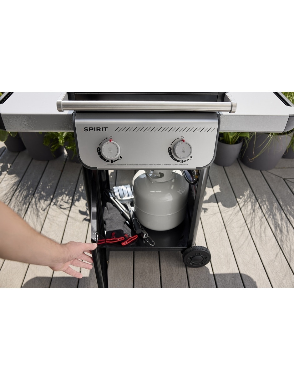 Asador de gas E-210 2