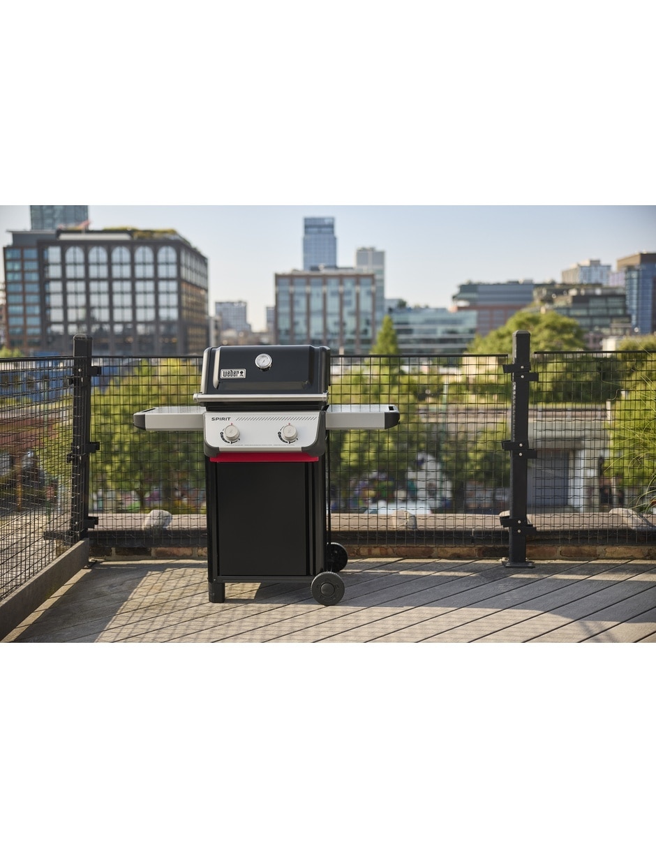 Asador de gas E-210 7
