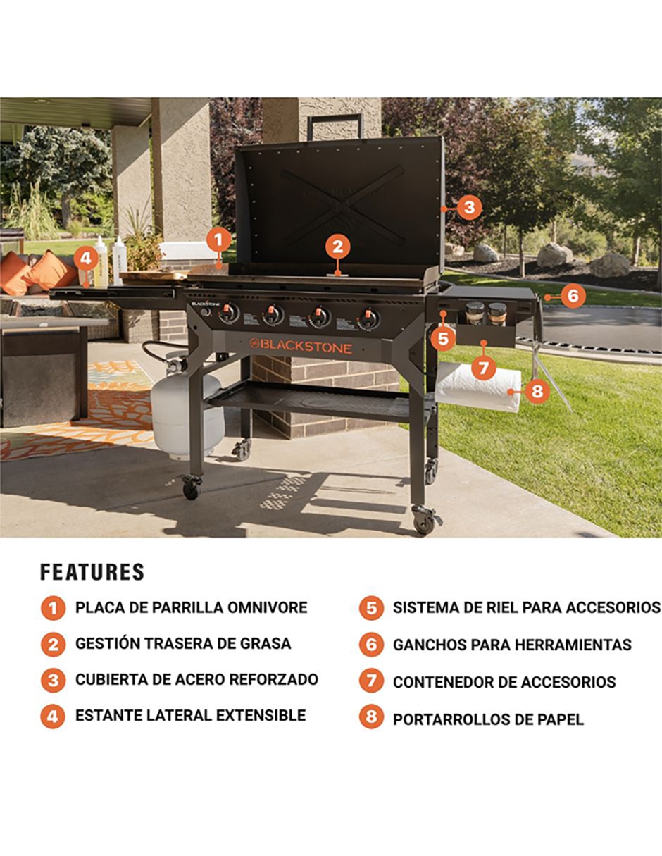 Plancha de gas Iron Forged 2310 13