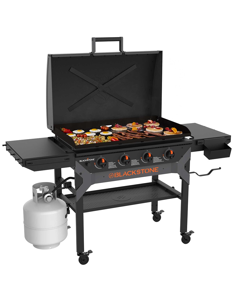 Plancha de gas Iron Forged 2310 3