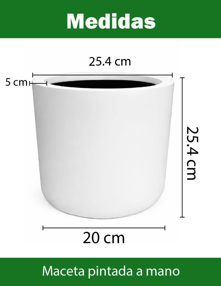 Maceta de fibra de vidrio 8