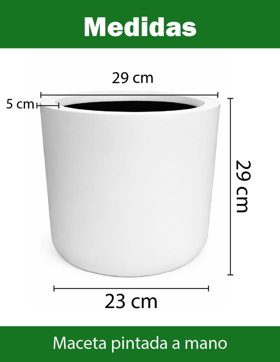 Maceta de fibra de vidrio 8