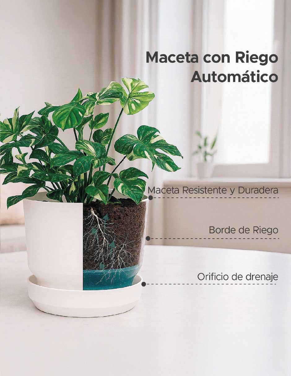 Set de macetas de plástico con sistema automático de riego 2