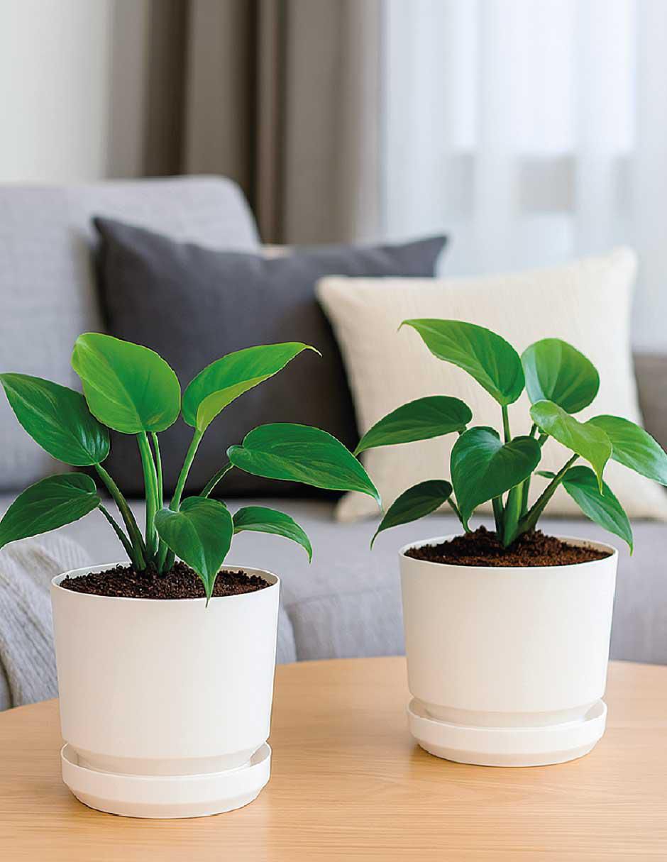 Set de macetas de plástico con sistema automático de riego 7