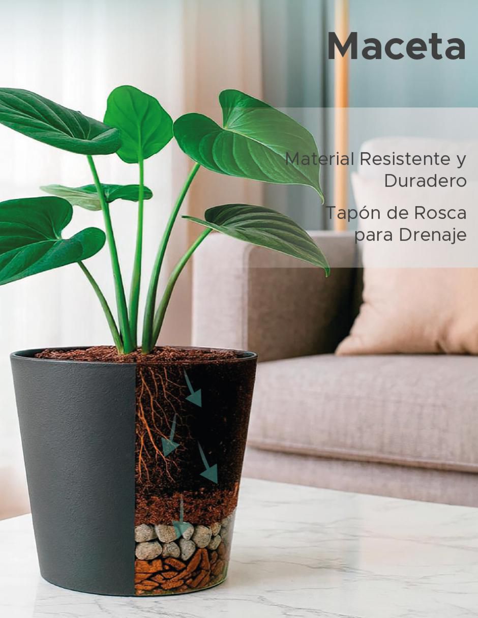 Maceta Cónica Gerbera de plástico 2