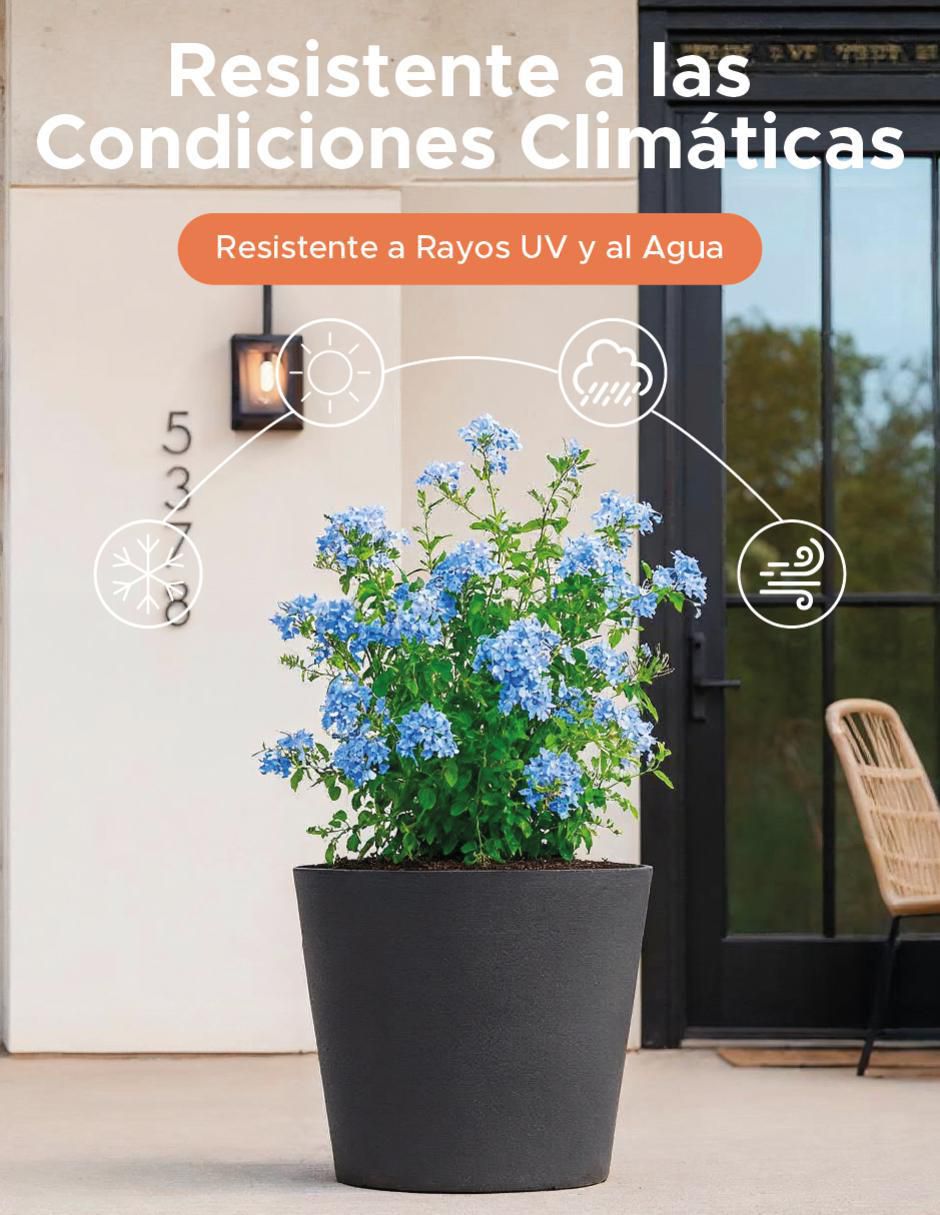Maceta Cónica Gerbera de plástico 5