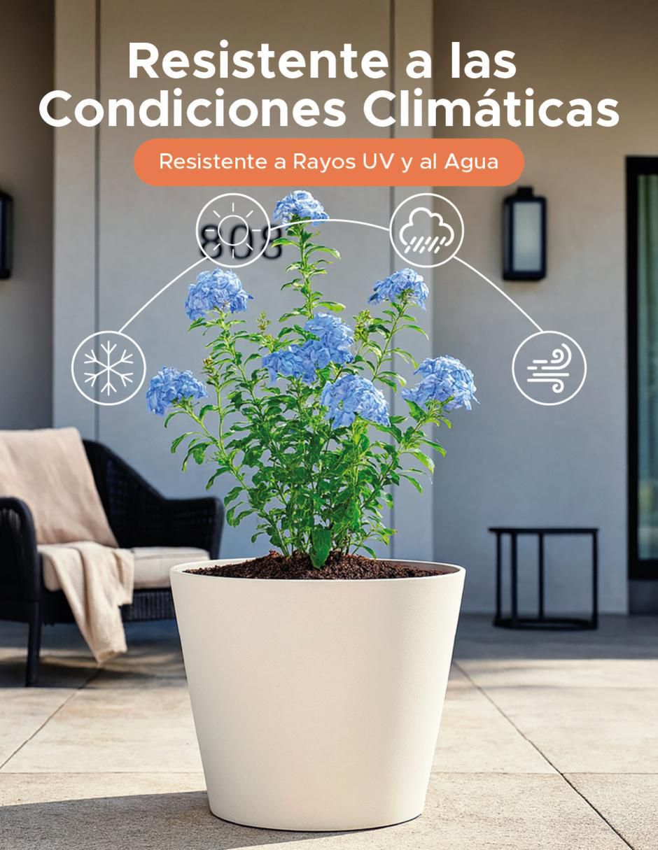 Maceta Cónica Gerbera de plástico 4