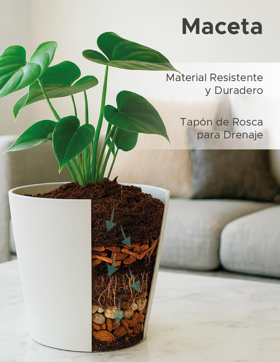 Maceta Cónica Gerbera de plástico 5